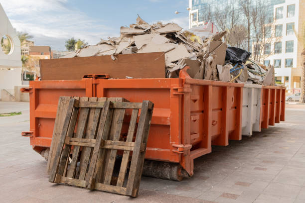 Debris Removal in Freeland, MI